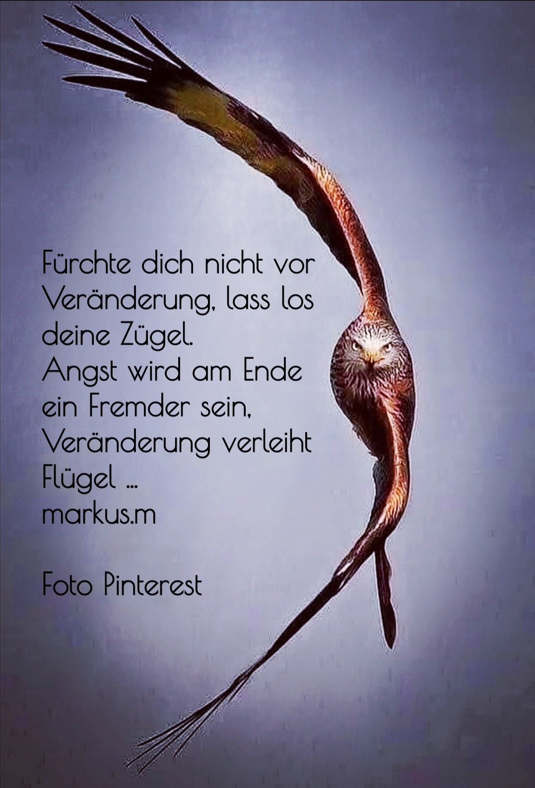 Veränderung verleiht Flügel